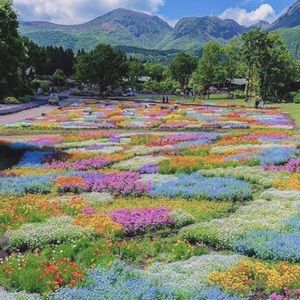 Meet your Posher, Cassidy nanette